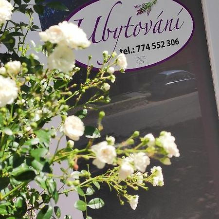 Apartman Cafe U Kordulky Ratiskovice Экстерьер фото